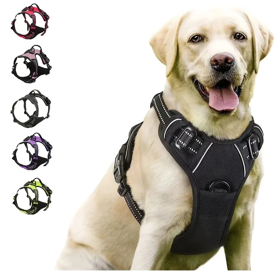 Dog Large Harness