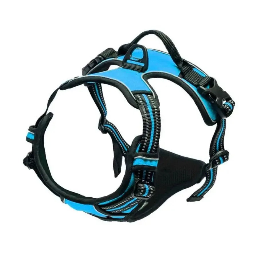 Dog Large Harness