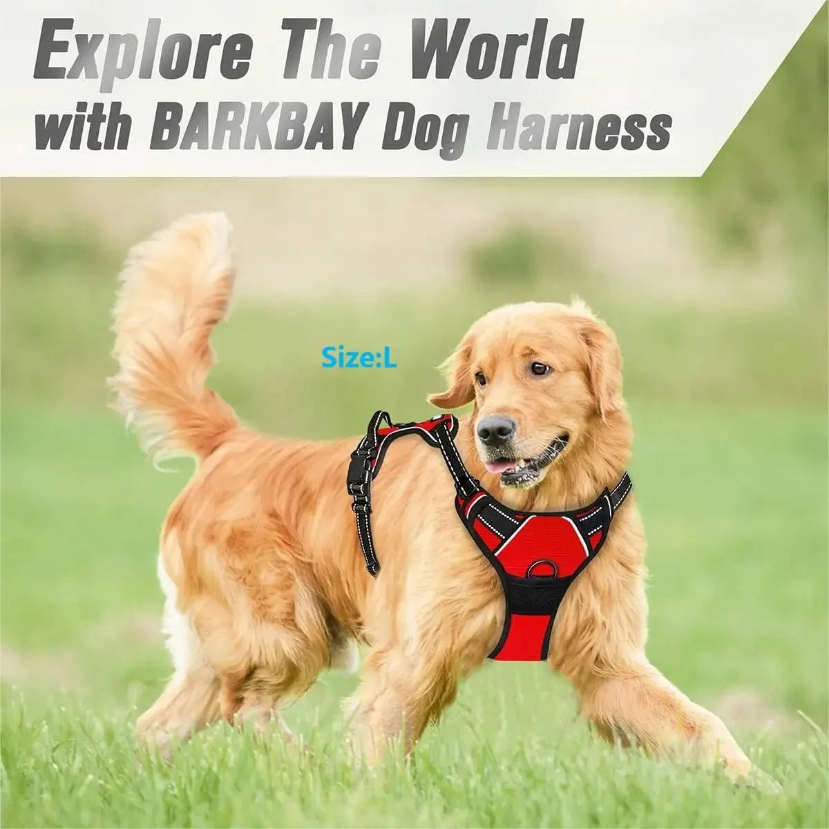 Dog Large Harness