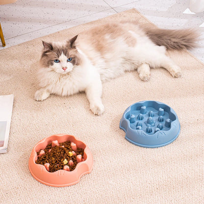 Non-Slip Slow Feeder Puzzle Bowl