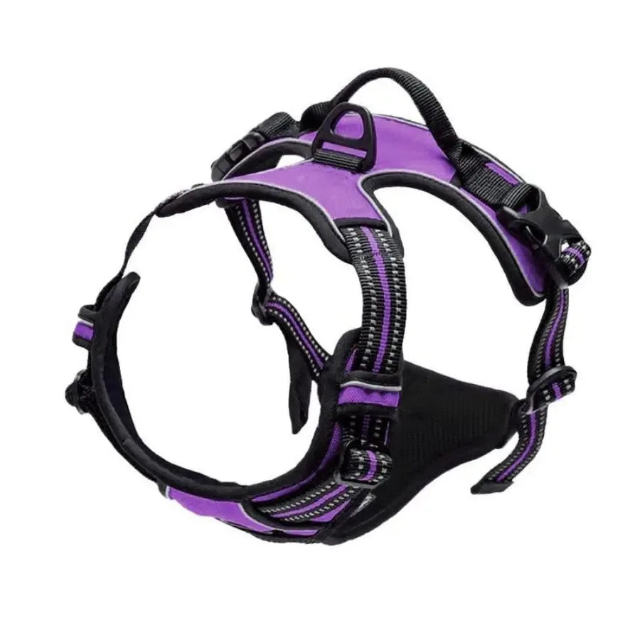 Dog Large Harness