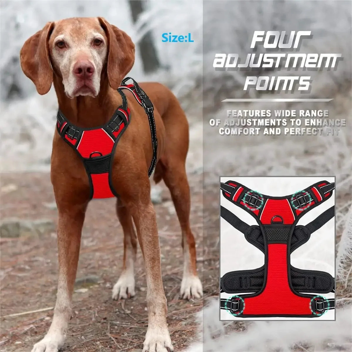 Dog Large Harness