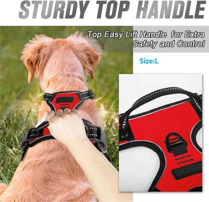 Dog Large Harness